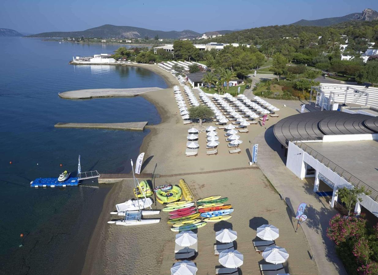 barcelo beach