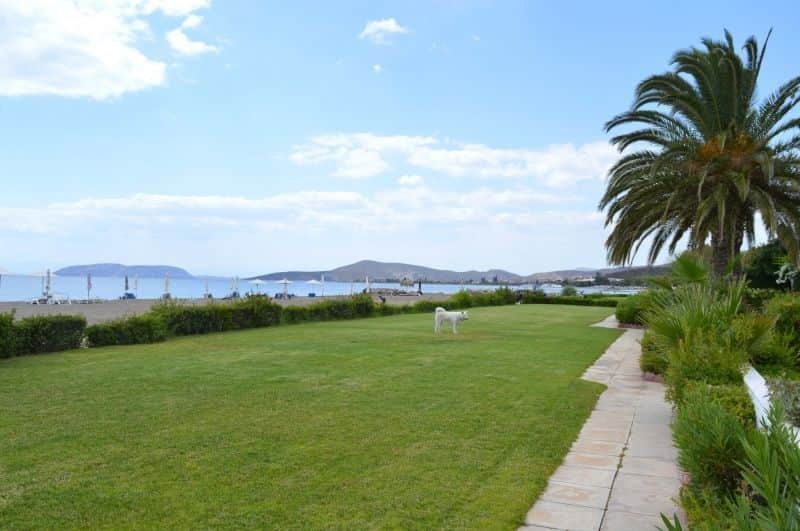 DOCK VILLA - NEXT TO THE SEA