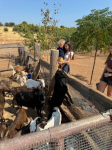 Giagias family farm Ermioni
